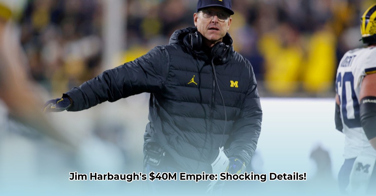 jim-harbaugh-s-net-worth